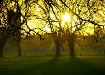 Sunset in Cambridge. Photo by Kosala Bandara.
