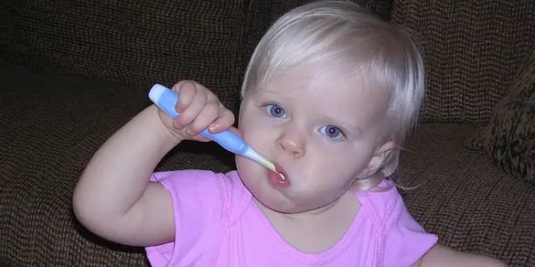 Toddler brushing his teeth. Photo by The Lamb Family.