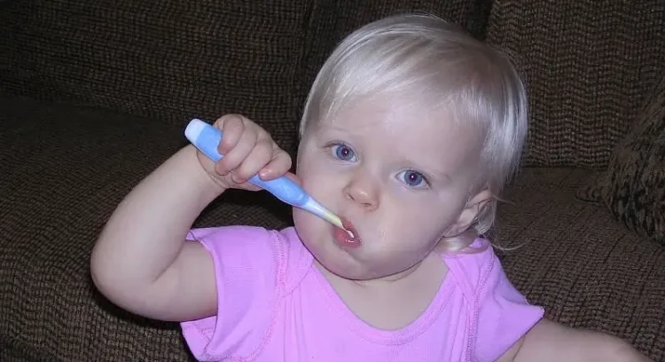 Toddler brushing his teeth. Photo by The Lamb Family.