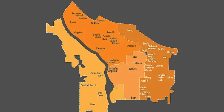Map of Portland's new City Council districts, the first name of each victim is placed in the approximate location where the crash occurred in 2024. Map by PBOT