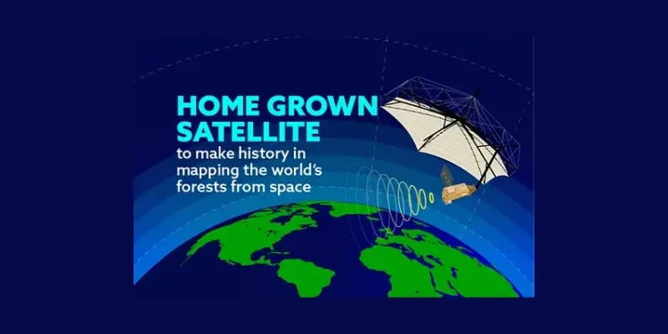 Home Grown Satellite. Mapping Forests. Artwork by the Department for Science and Innovation and Technology.