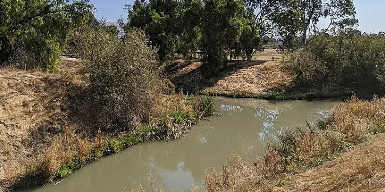 Lower Silver Creek draining from Lake Cunningham Regional Park. Photo by City of San Jose.