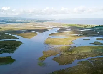 Steart Marshes Somerset. Photo by Environment Agency.
