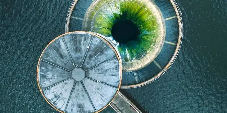 Aerial shot of a circular slipway, Ardingly reservoir, West Sussex. Photo by DEFRA.