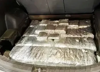 Meth was among the more than 570 pounds of narcotics seized by CBP's San Diego Field Office in April. Photo by the CBP.