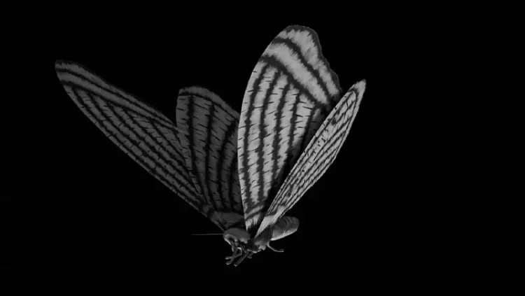 The numbers of moths visiting Parsonage Down National Nature Reserve by Salisbury were used to create this instrumental. Photo by Northern School of Arts.