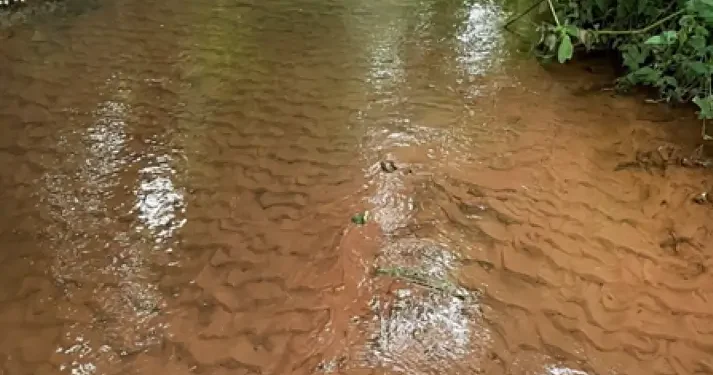 A considerable length of the Back Stream watercourse's river bed in Combe Florey was covered, bank to bank, in a thick layer of sediment. Photo by the Environment Agency.