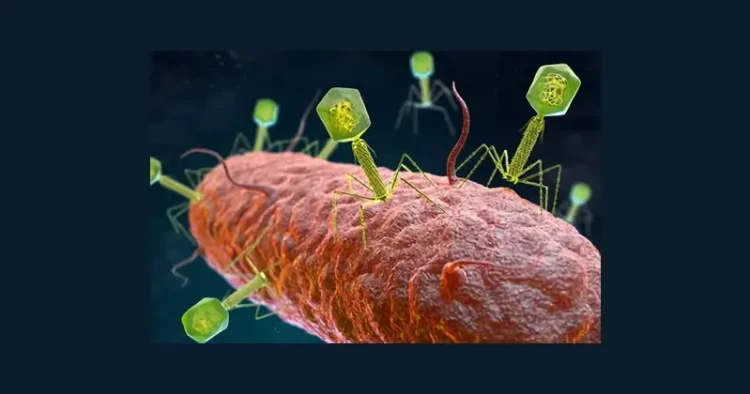 Bacteriophages attaching to bacterium. Photo by the MHRA - Getty Images.