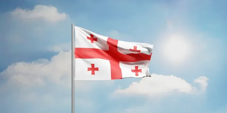 Georgia Flag. Photo by Aerra Carnicom.