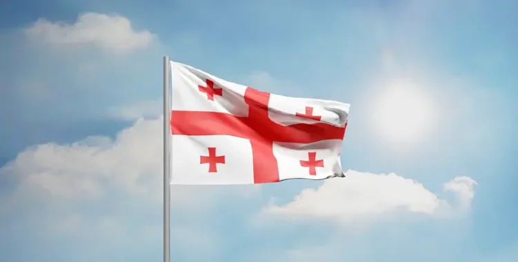 Georgia Flag. Photo by Aerra Carnicom.