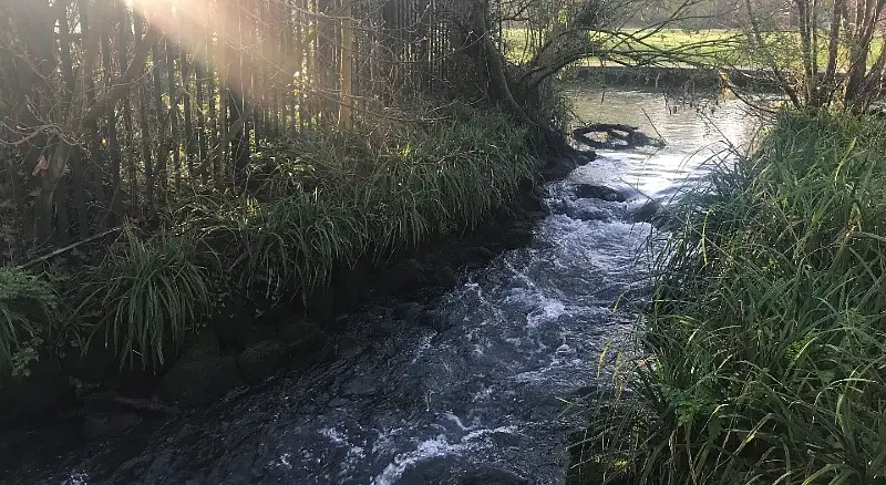 Part of the River Itchen has 'breached' with water branching off the main river. Photo by the Environment Agency.