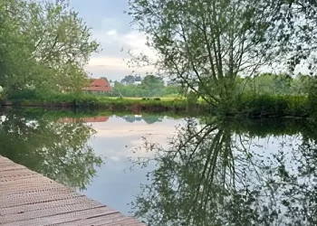 Water quality experts will be at COACH, Taunton on Saturday 21 June from 10am to 1pm. Photo by the Environment Agency.