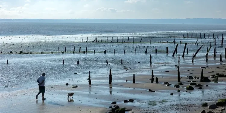 Whether Leysdown beach, wildlife havens or historic sites, the 28-mile route around Sheppey takes some fabulous views. Photo by Explore Kent.