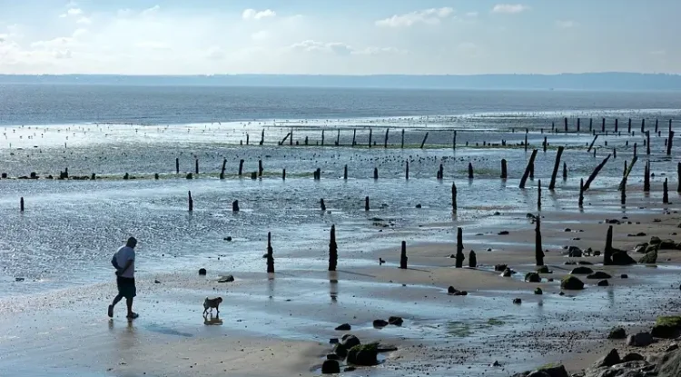 Whether Leysdown beach, wildlife havens or historic sites, the 28-mile route around Sheppey takes some fabulous views. Photo by Explore Kent.