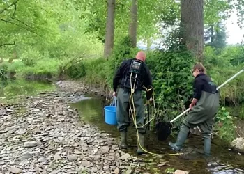Redlake fish rescue in June 2025. Photo by the Environment Agency.