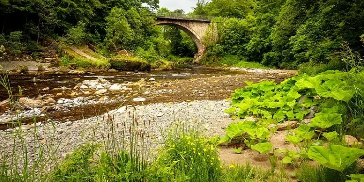 River Esk, Cumbria. Photo by Trotter Fechan.