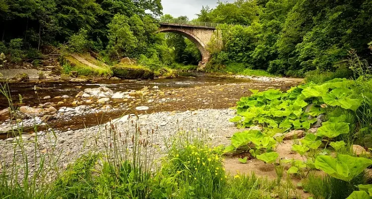 River Esk, Cumbria. Photo by Trotter Fechan.