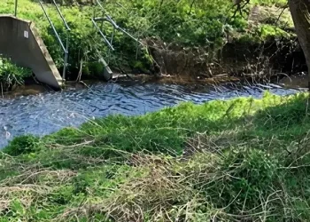Southborough Stream, which now benefits from an improved flood warning system. Photo by the Environment Agency.