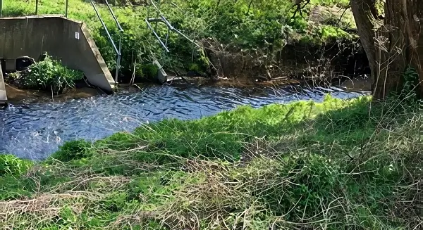 Southborough Stream, which now benefits from an improved flood warning system. Photo by the Environment Agency.