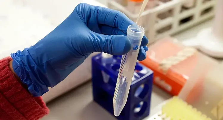 Test tube. Photo by Vall d'Hebron Research Institute.