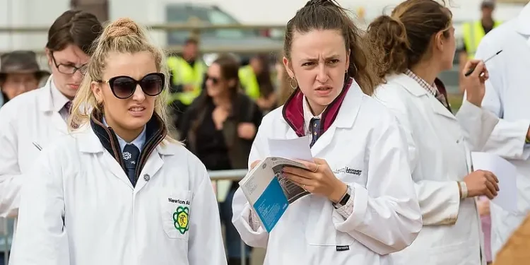 Cattle Rings Judging Classes. Photo by Dorset Bays.