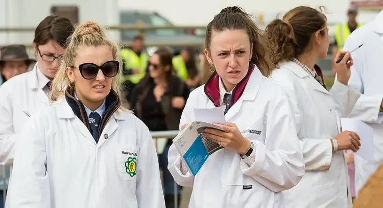 Cattle Rings Judging Classes. Photo by Dorset Bays.