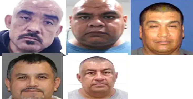 Convicted sex offender illegal immigrants. Photos by ICE.