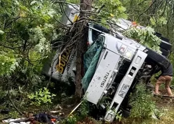 Crashed truck with two Illegal immigrants. Photo by ICE.