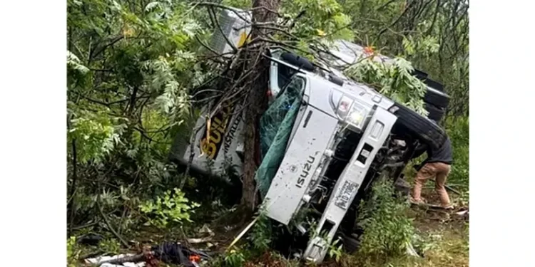 Crashed truck with two Illegal immigrants. Photo by ICE.