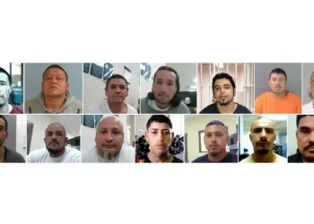 ICE major gang arrests. Photo by the DHS.