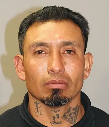 Mexican Raul Luna Perez arrested. Photo by ICE.