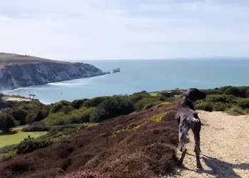 The footpath at Headon Warren. Photo by the Isle of Wight Council.