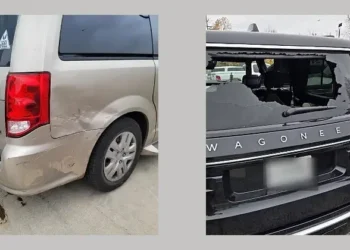 Consequences of these domestic terror attacks in Chicago. Photos by ICE and Homeland Security.