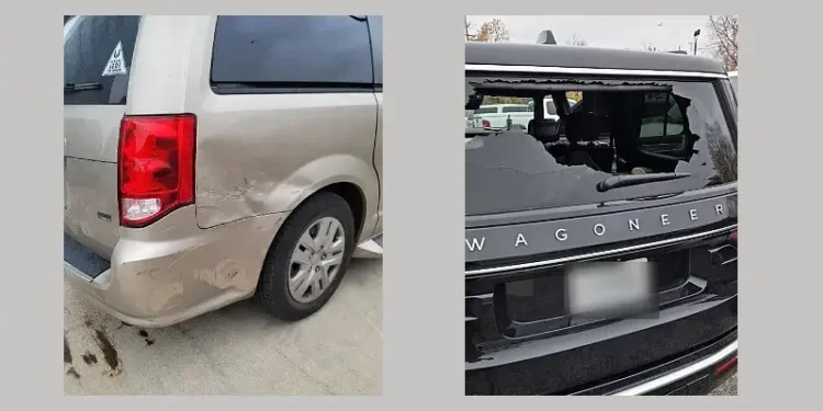 Consequences of these domestic terror attacks in Chicago. Photos by ICE and Homeland Security.