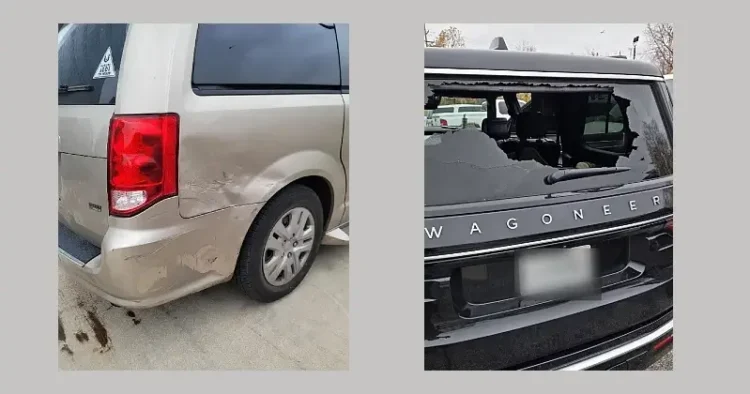 Consequences of these domestic terror attacks in Chicago. Photos by ICE and Homeland Security.