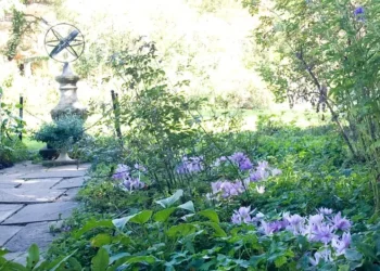 Barakura English Garden - panoramio. Photo by Masaya I.