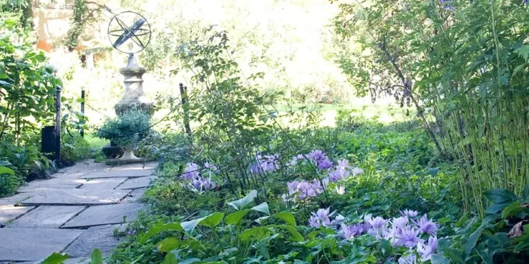 Barakura English Garden - panoramio. Photo by Masaya I.