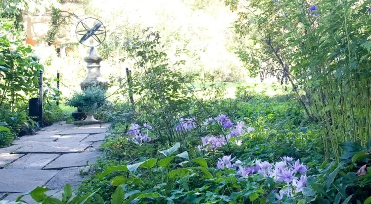 Barakura English Garden - panoramio. Photo by Masaya I.