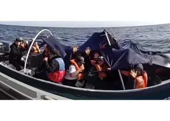 Smuggling vessels apprehended. Photo by CBP.