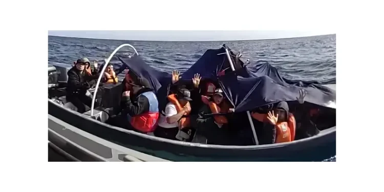 Smuggling vessels apprehended. Photo by CBP.
