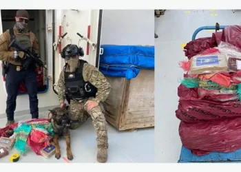 LA narcotics seizure. Photo by Homeland Security