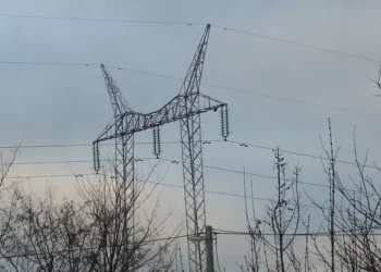Power Pole. Photo by Andras Bogoly.