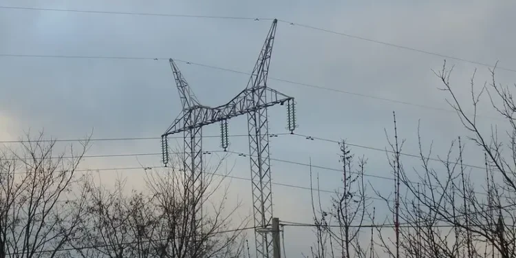 Power Pole. Photo by Andras Bogoly.