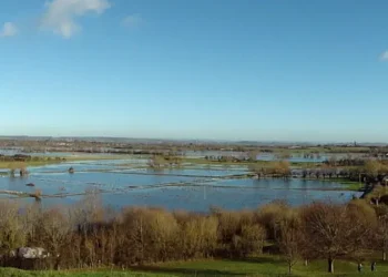 Somerset Flooding 2014. Photo by Shaun Derry.
